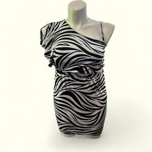 Sweet Storm Zebra Print Dress size small